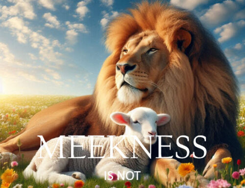 Meekness, Coherence, and Your Mouth